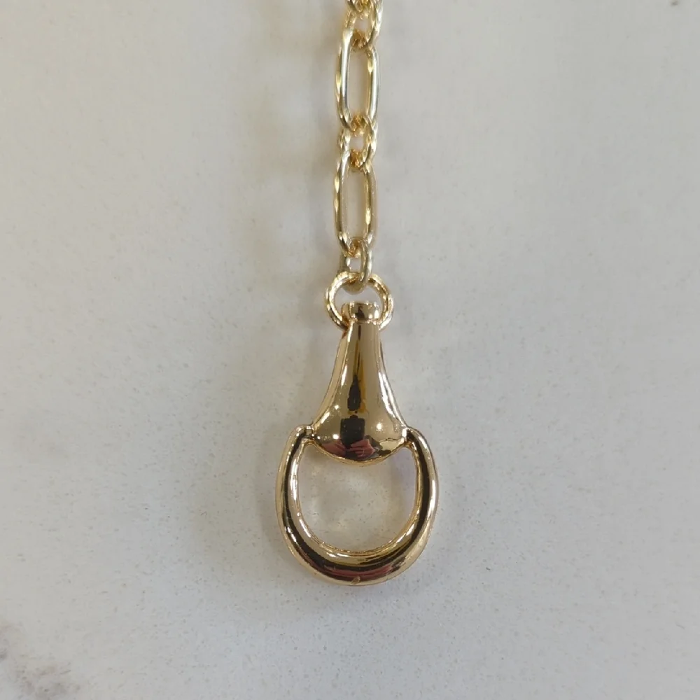 Ann Taylor Gold Link Lariat Necklace with Ring Drop - Picture 3 of 8